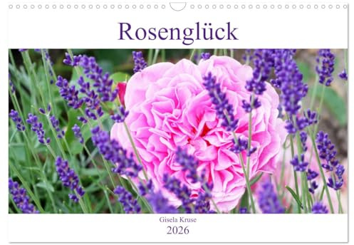 Rosenglück (Wandkalender 2026 DIN A3 quer), CALVENDO Monatskalender: Rosen schenken Glücksgefühle (CALVENDO Natur)