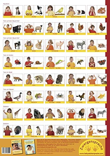 Babyzeichen-Plakat: Tierzeichen: 40 Gebärden für Tiere