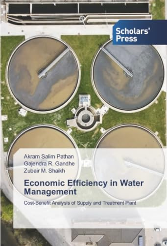 Economic Efficiency in Water Management: Cost-Benefit Analysis of Supply and Treatment Plant