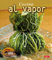 Cocina Ideal. COCINA AL VAPOR