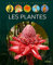 FLEURUS