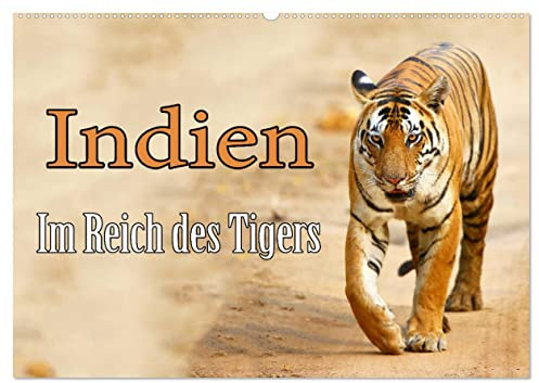 Indien - Im Reich des Tigers (Wandkalender 2026 DIN A2 quer), CALVENDO Monatskalender: Auf Fotopirsch im indischen Dschungel, auf der Suche nach dem Tiger. (CALVENDO Tiere)