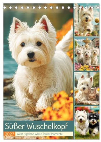 Süßer Wuschelkopf. West Highland White Terrier Momente (Tischkalender 2027 DIN A5 hoch), CALVENDO Monatskalender: Die fröhlichen, mutigen und ... in zauberhaften Bildern (CALVENDO Tiere)