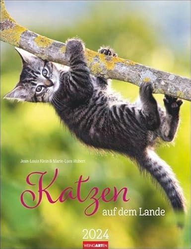 Katzen auf dem Lande Kalender 2024. Süße Kätzchen in ländlicher Idylle: Ein Foto-Kalender zum Dahinschmelzen. Planer mit Platz zum Eintragen. Hochformat 30x39 cm