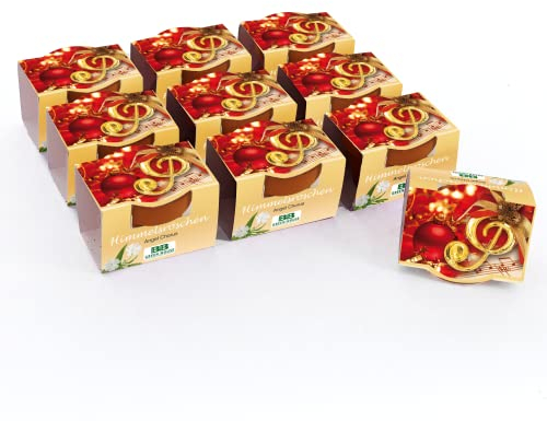 Bull & Bear 10er Set Mini Pflanzset 'Angel Chorus' mit Samen für Himmelsröschen im Topf 4,5cm, Pflanzen Anzuchtset mit Pflegeanleitung