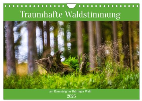 Traumhafte Waldstimmung am Rennsteig im Thüringer Wald (Wandkalender 2026 DIN A4 quer), CALVENDO Monatskalender: Träumerische und stimmungsvolle Einblicke am Rennsteig (CALVENDO Natur)