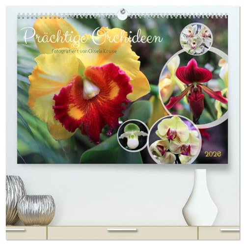Prächtige Orchideen (hochwertiger Premium Wandkalender 2026 DIN A2 quer), Kunstdruck in Hochglanz: Verschiedene Orchideen in kräftigen Farben (CALVENDO Natur)
