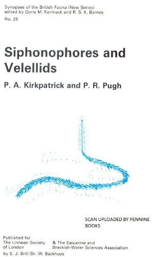 Siphonophores and Velellids (No. 29)