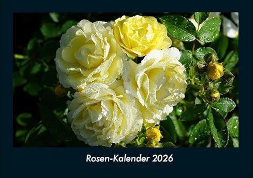 Rosen-Kalender 2026 Fotokalender DIN A4: Monatskalender mit Bild-Motiven aus Fauna und Flora, Natur, Blumen und Pflanzen