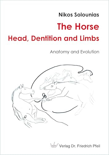 The Horse – Head, Dentition and Limbs: Anatomy and Evolution