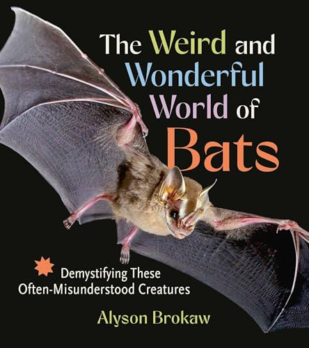 The Weird and Wonderful World of Bats: Demystifying These Often-Misunderstood Creatures