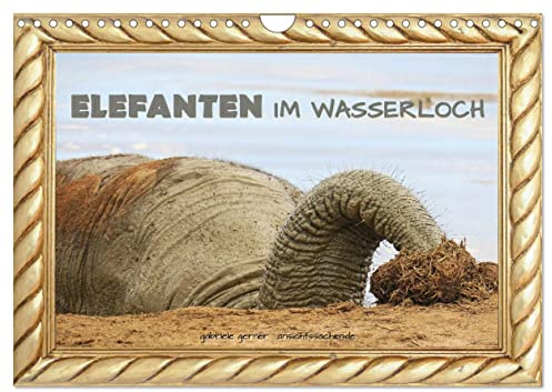 Elefanten im Wasserloch (Wandkalender 2026 DIN A4 quer), CALVENDO Monatskalender: Die grauen Riesen nehmen ein Bad in den Wasserlöchern des Südlichen Afrikas. (CALVENDO Tiere)