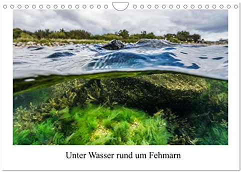 Unter Wasser rund um Fehmarn (Wandkalender 2026 DIN A4 quer), CALVENDO Monatskalender: Kalender mit 13 Bilder der Unterwasserwelt in der Ostsee rund um Fehmarn. (CALVENDO Natur)