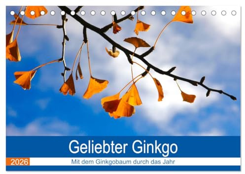 Geliebter Ginkgo (Tischkalender 2026 DIN A5 quer), CALVENDO Monatskalender: Zwölf Aufnahmen vom Ginkgobaum (CALVENDO Natur)