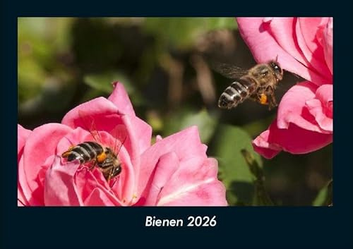 Bienen 2026 Fotokalender DIN A4: Monatskalender mit Bild-Motiven von Haustieren, Bauernhof, wilden Tieren und Raubtieren