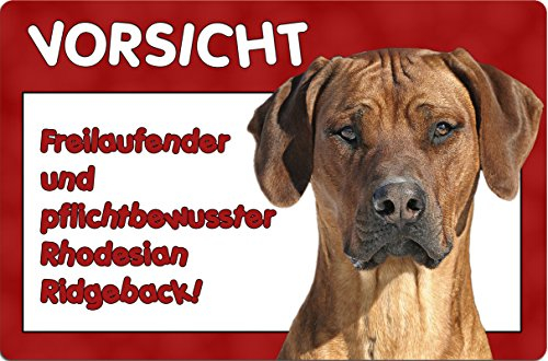 Nanyuk +++ Rhodesian Ridgeback - Metall Warnschild Schild Hundeschild Sign - RRB 20 T6