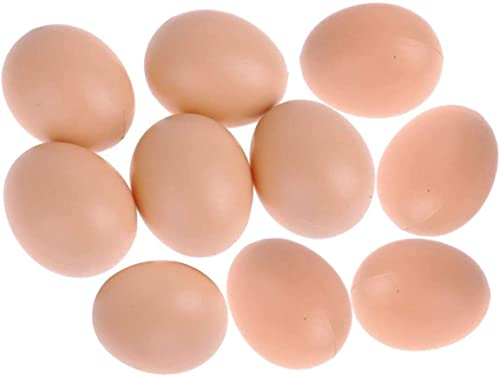 EQLEF 10pcs Artificial Nest Eggs Fake Food Dummy House Decor