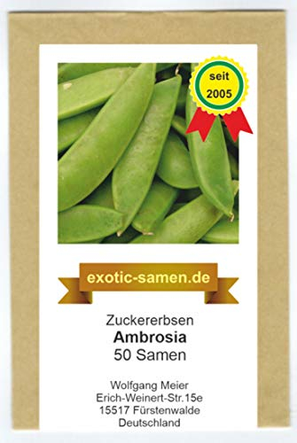Zuckererbse - Ambrosia - 50 Samen