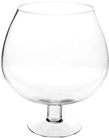 Atmosphera Créateur d'intérieur - Coupe sur Pied Verre 25cm Transparent