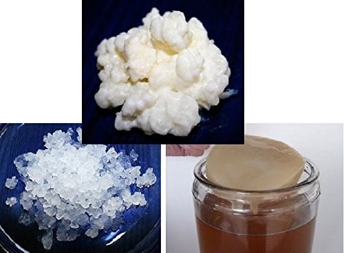 Packung 40g Milchkefir Pilz / Knollen + 100g Wasserkefir Pilz / Japankristalle + Kombucha Pilz / Scoby + Anleitung + Rezepte + Hilfe und Beratung in Deutsch - KEFIRALIA®