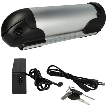 vhbw batteria per Prophete (TRIO), DeHawk, Stratos, LandCrossers ecc. E-Bike bici elettrica (10Ah, 36V, Li-Ion) + caricatore - argento