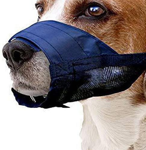 Pawise Muzzle Size, X-Small