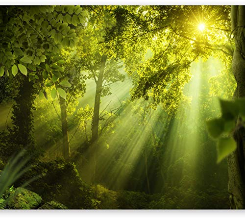 murando - Vlies Fototapete Wald 300x210cm- Foto Tapete Schlafzimmer Wohnzimmer Vliestapete XXL Wandtapete Motivtapeten Bildtapete 3d Effekt Wand Dekoration - Natur Landschaft grün c-A-0077-a-a