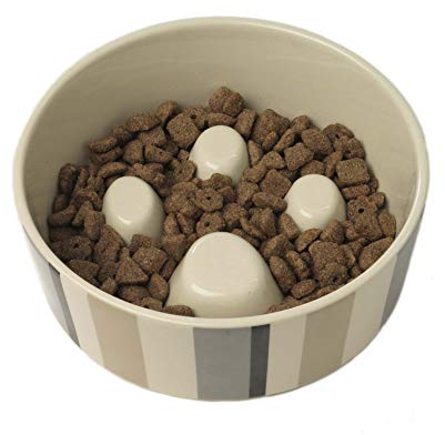 PetRageous 12017 Metro Slowfeed Dishwasher Safe Dog Food Bowl with 4-Cup Capacity 7-Inch Diameter 2.25-Inch Tall for Medium and Large Dogs and Cats, Multi-Colored,Off-White