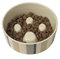 PetRageous 12017 Metro Slowfeed Dishwasher Safe Dog Food Bowl with 4-Cup Capacity 7-Inch Diameter 2.25-Inch Tall for Medium and Large Dogs and Cats, Multi-Colored,Off-White