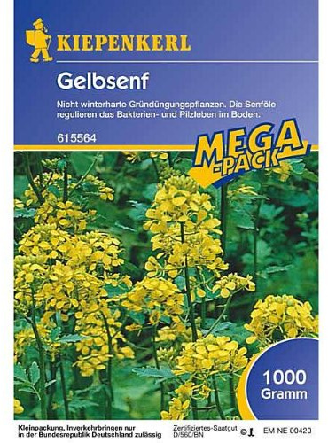 Gelbsenf,