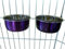 Ellie-Bo Paire de gamelles pour Cages ou stylos Violet 0,6 l