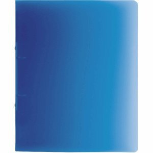 Brunnen 10 x Ringbuch Fact! A4 16mm 2 Ringe blau