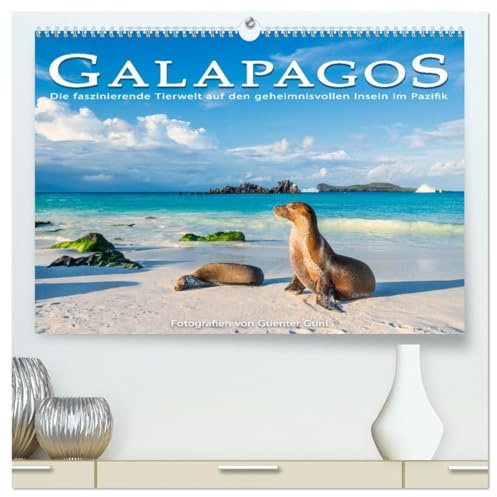 Die faszinierende Tierwelt der Galapagos-Inseln (hochwertiger Premium Wandkalender 2026 DIN A2 quer), Kunstdruck in Hochglanz: Einblicke in die ... entlegenen Inseln im Pazifik (CALVENDO Natur)