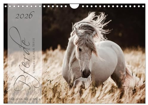 Pferde - Spiegel deiner Seele (Wandkalender 2026 DIN A4 quer), CALVENDO Monatskalender: Lassen Sie sich entführen in die Faszinierende Welt der Pferde (CALVENDO Tiere)