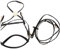 HKM Unisex Trensen-584791000644 Trensen, Schwarz, Vollblut EU