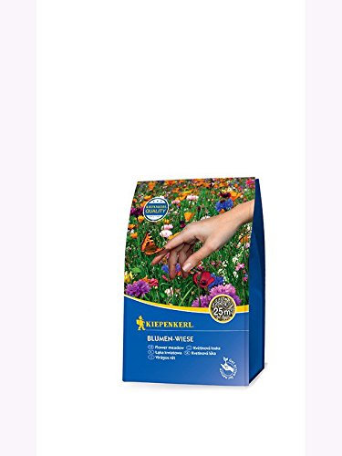 Kiepenkerl Blumen-Wiese Kbb 250gr