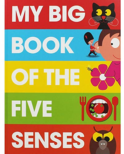 My Big Book of the Five Senses