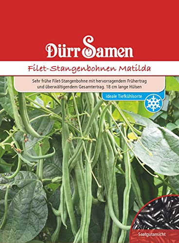 Dürr-Samen - Filet-Stangenbohnen Matilda Saatgut