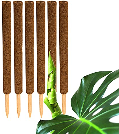 BigDean 6er Set Pflanzstäbe Kokos 60 cm - Monstera Rankhilfe Rankstäbe Stab Moosstäbe Pflanzenstäbe Kokosstäbe für Pflanzen - aus natürlicher Kokosfaser - verlängerbar