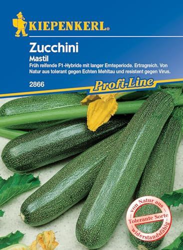 Kiepenkerl Profi-Line Zucchinisamen Mastil F1 - Ertragreiche & Resistente Zucchini Pflanze, Ideal für Junge Früchte mit Blüten, Saatgut für Garten & Balkon, gelbe Zucchini Samen