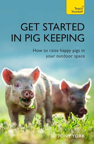 Get Started In Pig Keeping: How to raise happy pigs in your outdoor space