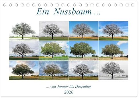 Ein Nussbaum von Januar bis Dezember (Tischkalender 2026 DIN A5 quer), CALVENDO Monatskalender: Ein schöner Baum im Wandel der Jahreszeiten (CALVENDO Natur)