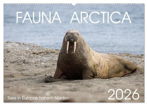 Fauna arctica (Wandkalender 2026 DIN A2 quer), CALVENDO Monatskalender: Tiere in Europas hohem Norden (CALVENDO Natur)