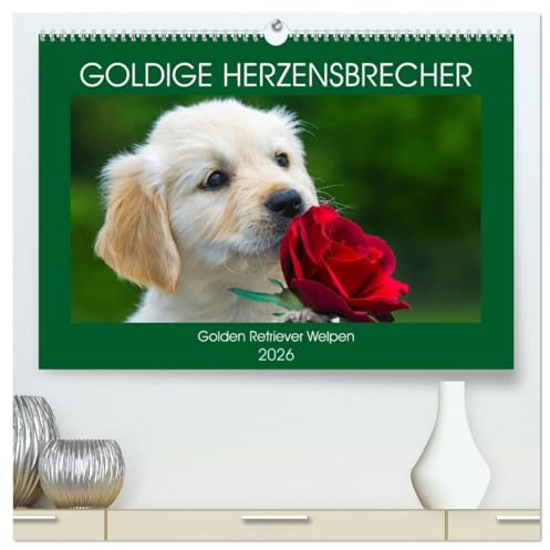 Goldige Herzensbrecher - Golden Retriever Welpen (hochwertiger Premium Wandkalender 2026 DIN A2 quer), Kunstdruck in Hochglanz: Entzückende Golden ... begleiten uns durch das Jahr (CALVENDO Tiere)