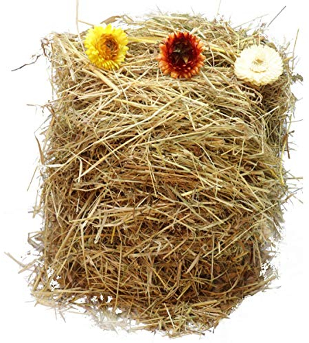 Ostergras Heu Natur Spreewald-Heu Bastelgras Naturprodukt (Ostergras 150g + 3 Strohblumen)