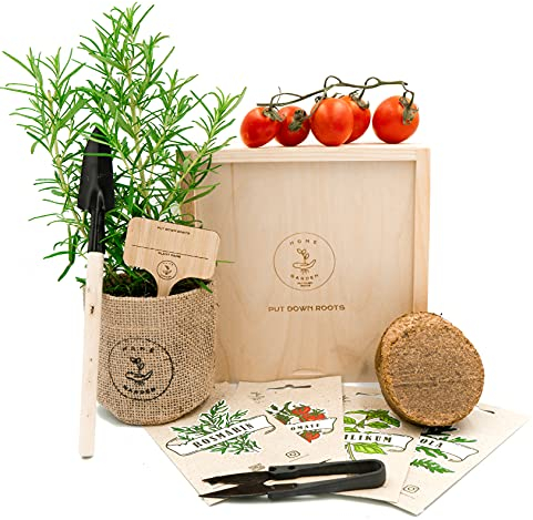 MEDITERRANE ANZUCHTSET 4 Sorten Pflanzen Samen- garten Starter-Set, öko Saatgut mit Holzkiste mit deckel, mini gewächshaus, kinderküche zubehör, Kinder Anzuchtset von PUT DOWN ROOTS