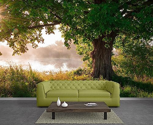 GIVLWF Papier Peint Panoramique de Chêne Personnalisé, Forêt Coucher De Soleil Poster Murale Intissé - pour Chambre Salon Décoration Murale 450 x 315 cm