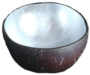 Hiseng Hand Painted Natural Coconut Key Bowl - Solid Colour Print Decorative Storage for Hallways, Jewellery, Nuts, Candy (Silver)