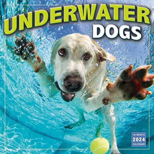Underwater Dogs -- Photography by Seth Casteel