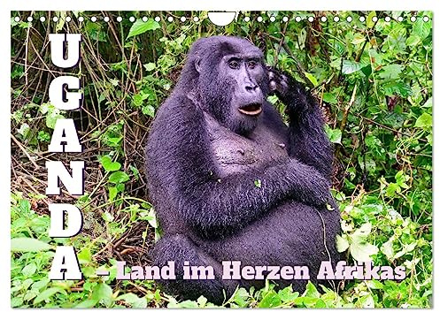 Uganda – Land im Herzen Afrikas (Wandkalender 2026 DIN A4 quer), CALVENDO Monatskalender: Uganda, ein Land mit einer herausragenden Natur und vielen Ethnien. (CALVENDO Natur)